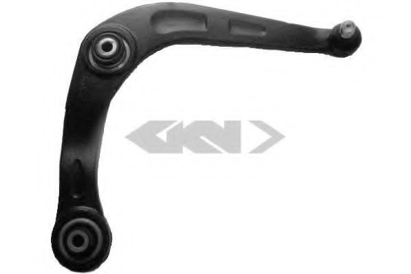 Brat, suspensie roata 57121 SPIDANN - Directie / bucsi, rulmenti