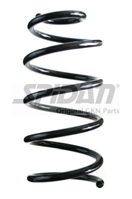 Arc spiral 85797 SPIDANN - Arc spirala Arc spiral 85797 SPIDANN - Arc spirala