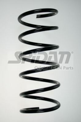 Arc spiral 85918 SPIDANN - Arc spirala Arc spiral 85918 SPIDANN - Arc spirala
