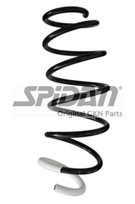 Arc spiral 86325 SPIDANN - Arc spirala Arc spiral 86325 SPIDANN - Arc spirala