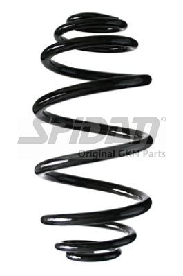 Arc spiral 86429 SPIDANN - Arc spirala Arc spiral 86429 SPIDANN - Arc spirala