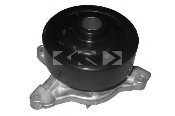 pompa apa 91556 SPIDANN - Pompa apa/ garnitura