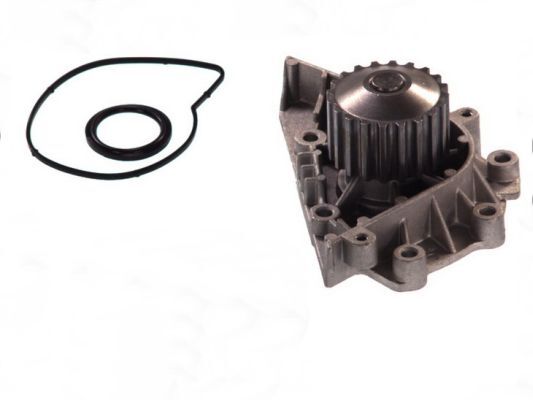 pompa apa D1P042TT THERMOTEC - Pompa apa/ garnitura pompa apa D1P042TT THERMOTEC - Pompa apa/ garnitura