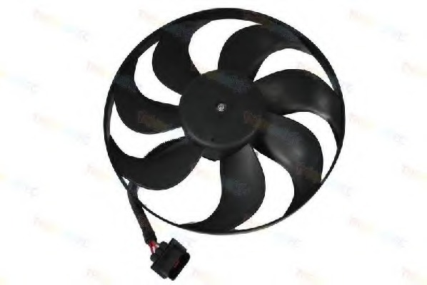 Ventilator, radiator D8W007TT THERMOTEC - Ventilator radiator