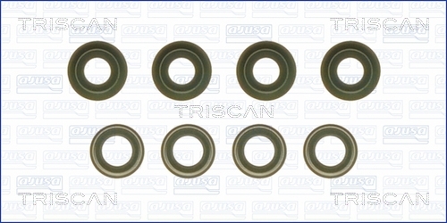 Set garnituri, ax supape 516-310751 TRISCAN - Garnituri Set garnituri, ax supape 516-310751 TRISCAN - Garnituri