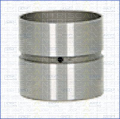 culbutor supapa 80-25007 TRISCAN - Tampon / bara / tub culbutor supapa 80-25007 TRISCAN - Tampon / bara / tub