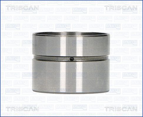 culbutor supapa 80-29003 TRISCAN - Supapa/ -reglare culbutor supapa 80-29003 TRISCAN - Supapa/ -reglare