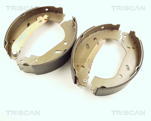 Set saboti frana 8100 10004 TRISCAN - Material frictiune sabot frana/ sabot frana Set saboti frana 8100 10004 TRISCAN - Material frictiune sabot frana/ sabot frana
