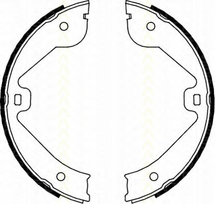 Set saboti frana 8100 10022 TRISCAN - Material frictiune sabot frana/ sabot frana