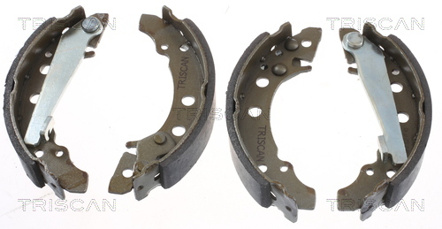 Set saboti frana 8100 10340 TRISCAN - Material frictiune sabot frana/ sabot frana