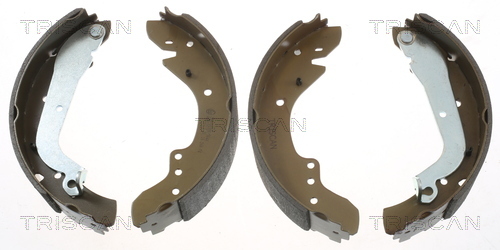 Set saboti frana 8100 10577 TRISCAN - Material frictiune sabot frana/ sabot frana