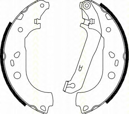Set saboti frana 8100 16011 TRISCAN - Material frictiune sabot frana/ sabot frana