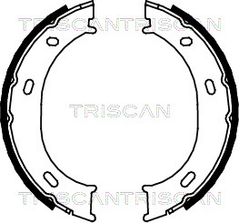 Set saboti frana, frana de mana 8100 23024 TRISCAN - Frana de mana