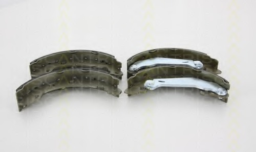 Set saboti frana 8100 25003 TRISCAN - Material frictiune sabot frana/ sabot frana