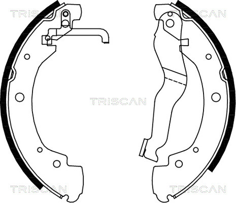 Set saboti frana 8100 29549 TRISCAN - Material frictiune sabot frana/ sabot frana