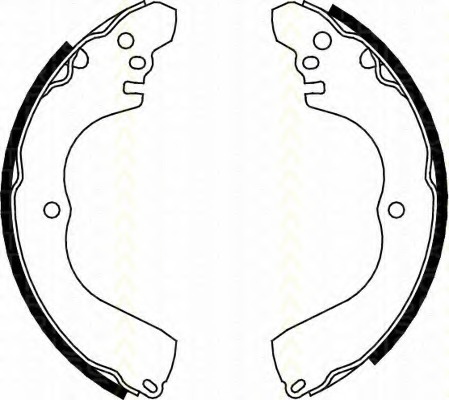 Set saboti frana 8100 42017 TRISCAN - Material frictiune sabot frana/ sabot frana