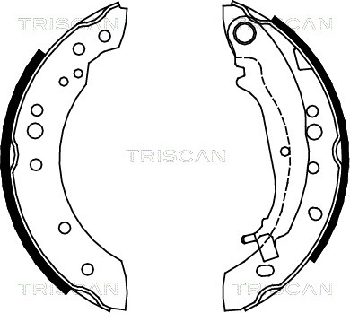 Set saboti frana 8100 42020 TRISCAN - Frana tambur