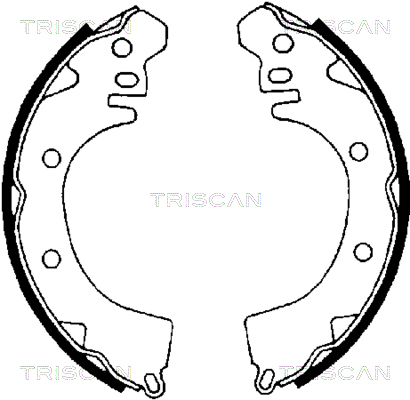 Set saboti frana 8100 42422 TRISCAN - Material frictiune sabot frana/ sabot frana