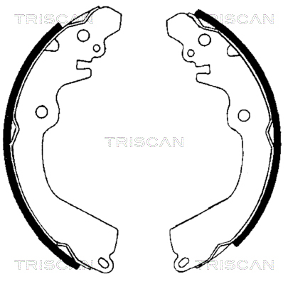 Set saboti frana 8100 42568 TRISCAN - Material frictiune sabot frana/ sabot frana