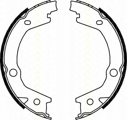 Set saboti frana 8100 43020 TRISCAN - Frana de mana