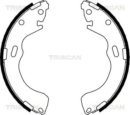 Set saboti frana 8100 50616 TRISCAN - Material frictiune sabot frana/ sabot frana