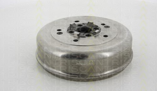 Tambur frana 8120 18206 TRISCAN - Tambur frana Tambur frana 8120 18206 TRISCAN - Tambur frana