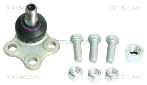 Articulatie sarcina/ghidare 8500 10552 TRISCAN - Pivoti/ articulatii Articulatie sarcina/ghidare 8500 10552 TRISCAN - Pivoti/ articulatii