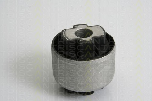 suport,trapez 8500 10828 TRISCAN - Directie / bucsi, rulmenti