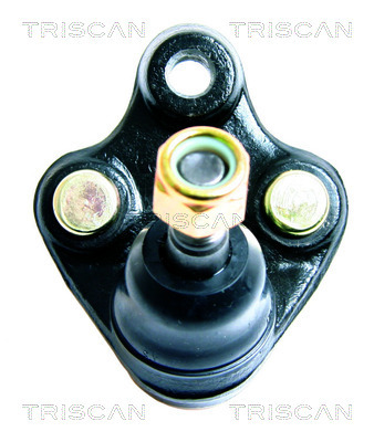 Articulatie sarcina/ghidare 8500 13538 TRISCAN - Pivoti/ articulatii Articulatie sarcina/ghidare 8500 13538 TRISCAN - Pivoti/ articulatii