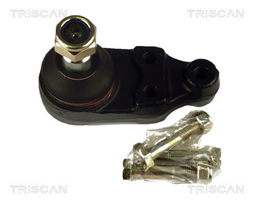 Articulatie sarcina/ghidare 8500 16515 TRISCAN - Pivoti/ articulatii Articulatie sarcina/ghidare 8500 16515 TRISCAN - Pivoti/ articulatii