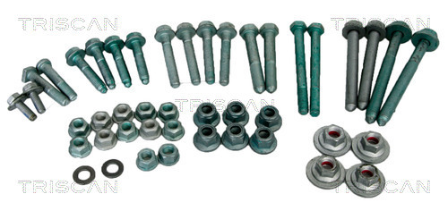 Set montare, legatura 8500 29875 TRISCAN - Directie / bucsi, rulmenti Set montare, legatura 8500 29875 TRISCAN - Directie / bucsi, rulmenti