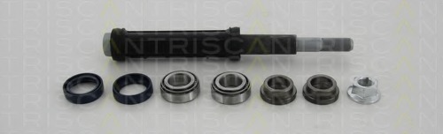 Set reparatie, bara stabilizatoare 8500 38401 TRISCAN - Directie / bucsi, rulmenti