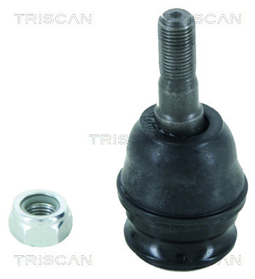 Articulatie sarcina/ghidare 8500 68500 TRISCAN - Pivoti/ articulatii Articulatie sarcina/ghidare 8500 68500 TRISCAN - Pivoti/ articulatii