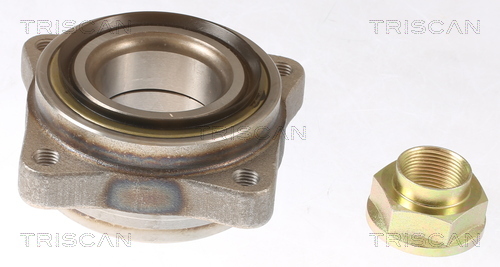 Set rulment roata 8530 10125 TRISCAN - Rulment roata / butuc roata