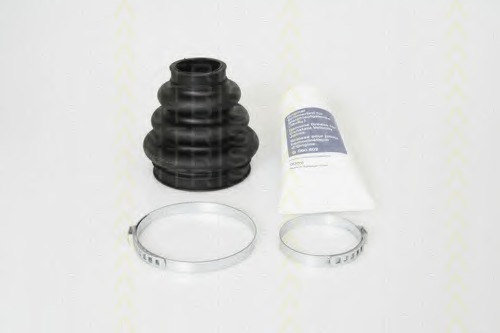 Ansamblu burduf, articulatie planetara 8540 11805 TRISCAN - Burduf