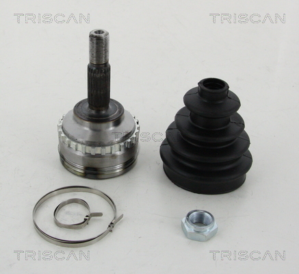 Set articulatie, planetara 8540 25120 TRISCAN - Articulatie/ set
