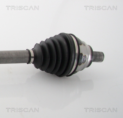 Planetara 8540 29634 TRISCAN - Planetara Planetara 8540 29634 TRISCAN - Planetara