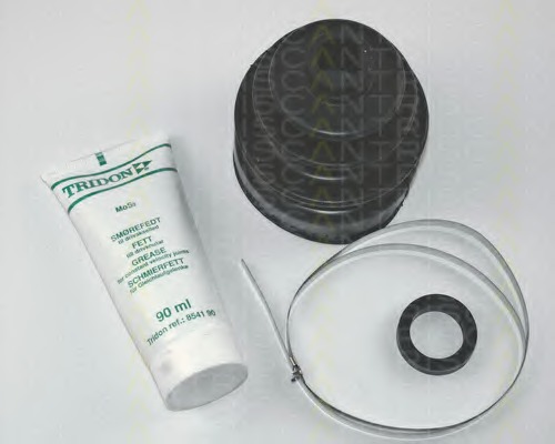 Ansamblu burduf, articulatie planetara 8540 38803 TRISCAN - Burduf