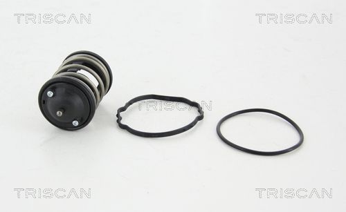 termostat,lichid racire 8620 43287 TRISCAN - Termostat termostat,lichid racire 8620 43287 TRISCAN - Termostat