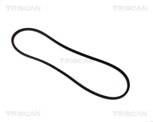 Curea transmisie 8640 100825 TRISCAN Curea transmisie 8640 100825 TRISCAN