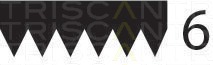 Curea transmisie cu caneluri 8640 600975 TRISCAN - Transmisie - kit accesorii Curea transmisie cu caneluri 8640 600975 TRISCAN - Transmisie - kit accesorii