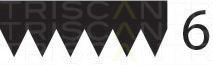 Curea transmisie cu caneluri 8640 601245 TRISCAN - Transmisie - kit accesorii Curea transmisie cu caneluri 8640 601245 TRISCAN - Transmisie - kit accesorii