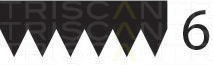 Curea transmisie cu caneluri 8640 601973 TRISCAN - Transmisie - kit accesorii Curea transmisie cu caneluri 8640 601973 TRISCAN - Transmisie - kit accesorii