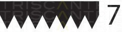 Curea transmisie cu caneluri 8640 700880 TRISCAN - Transmisie - kit accesorii Curea transmisie cu caneluri 8640 700880 TRISCAN - Transmisie - kit accesorii