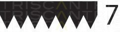 Curea transmisie cu caneluri 8640 701633 TRISCAN - Transmisie - kit accesorii Curea transmisie cu caneluri 8640 701633 TRISCAN - Transmisie - kit accesorii