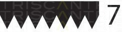 Curea transmisie cu caneluri 8640 701705 TRISCAN - Transmisie - kit accesorii Curea transmisie cu caneluri 8640 701705 TRISCAN - Transmisie - kit accesorii