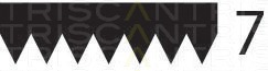 Curea transmisie cu caneluri 8640 702045 TRISCAN - Transmisie - kit accesorii Curea transmisie cu caneluri 8640 702045 TRISCAN - Transmisie - kit accesorii