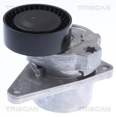 intinzator,curea transmisie 8641 103010 TRISCAN - Transmisie - kit accesorii intinzator,curea transmisie 8641 103010 TRISCAN - Transmisie - kit accesorii