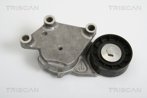 intinzator,curea transmisie 8641 103014 TRISCAN - Transmisie - kit accesorii intinzator,curea transmisie 8641 103014 TRISCAN - Transmisie - kit accesorii
