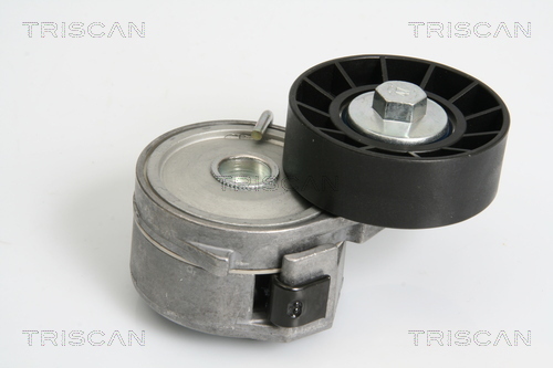 rola intinzator,curea transmisie 8641 103032 TRISCAN - Transmisie - kit accesorii rola intinzator,curea transmisie 8641 103032 TRISCAN - Transmisie - kit accesorii